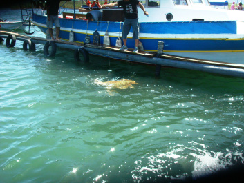 photo 414272