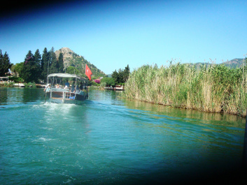 photo 414282
