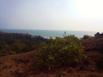 photo 705255