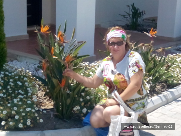 photo 1285363