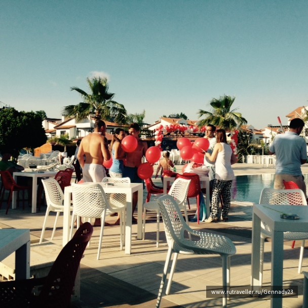photo 1285371