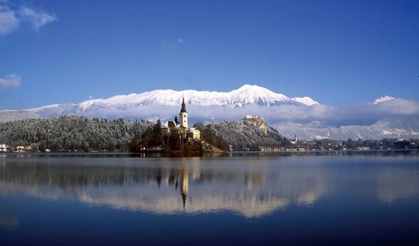 bled8