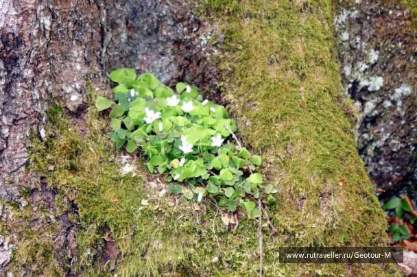 photo 1319107