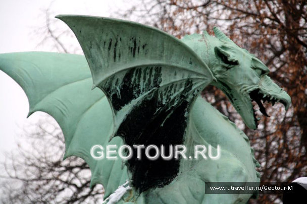 photo 1319128