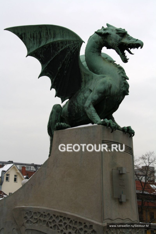 photo 1319129