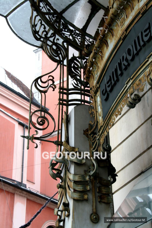photo 1319130
