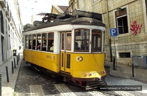 photo 1319484