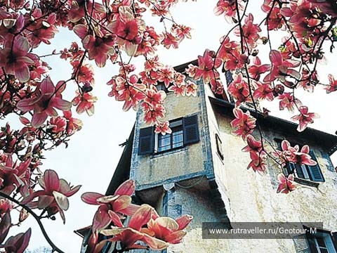 photo 1319534