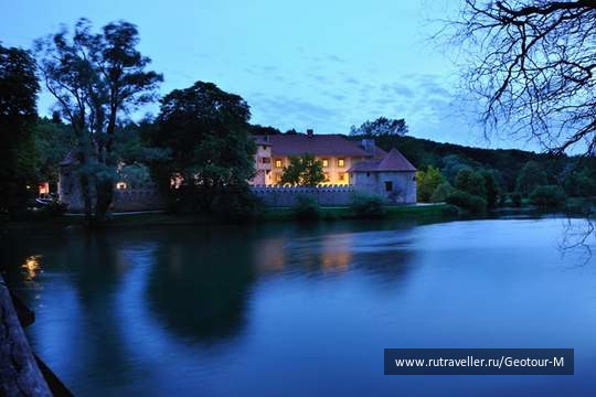 photo 1319564