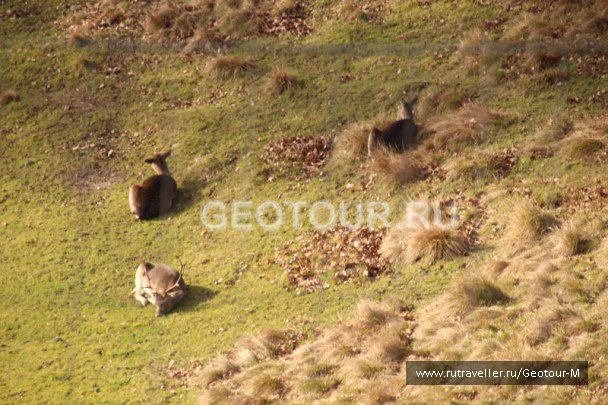 photo 1319578