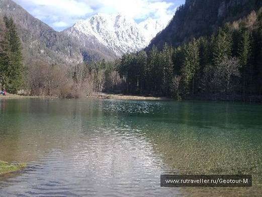 photo 1319590