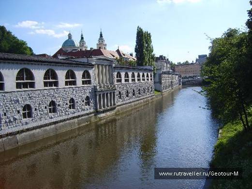 photo 1319613