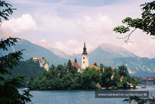 photo 1319615