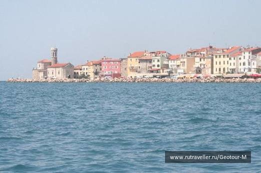 photo 1319622