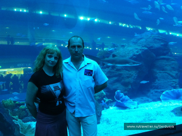 photo 182985