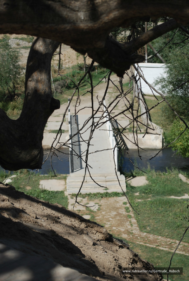 photo 686213