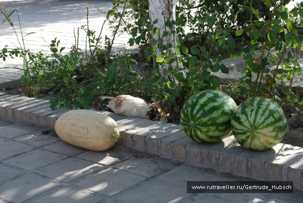 photo 686509
