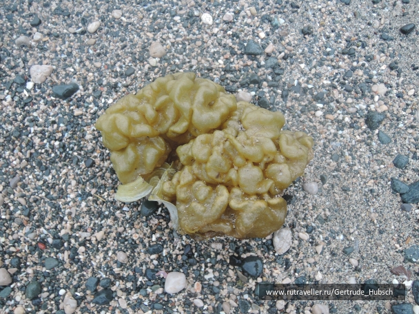 photo 746111