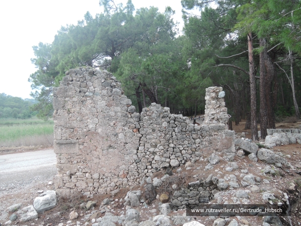 photo 746115