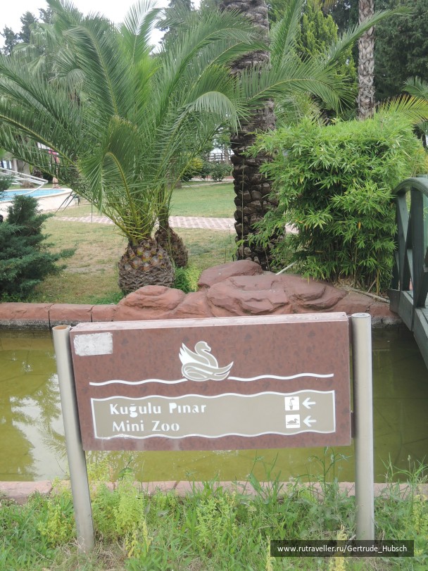 photo 745891