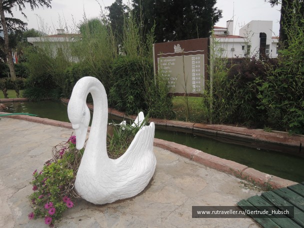 photo 745893