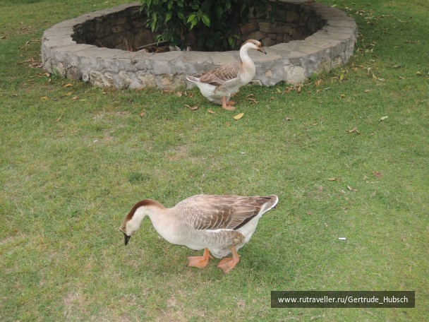 photo 745895