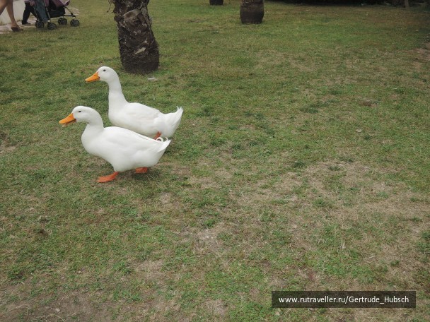 photo 745897
