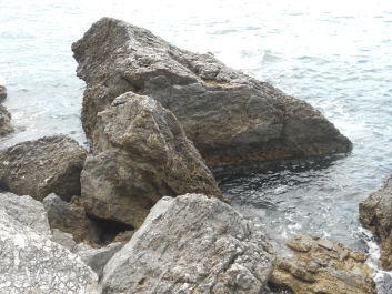 photo 789823