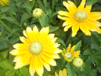 photo 792738