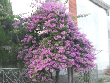 photo 792739