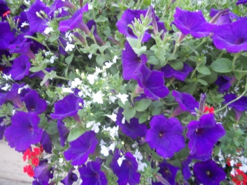 photo 792744