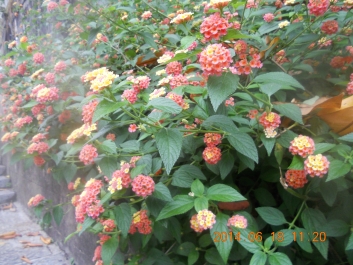 photo 792746
