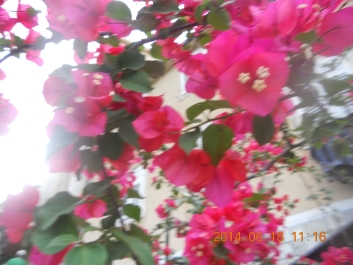 photo 792747