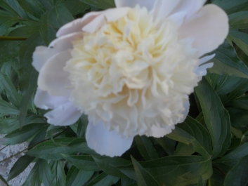 photo 792751