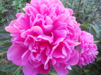 photo 792753