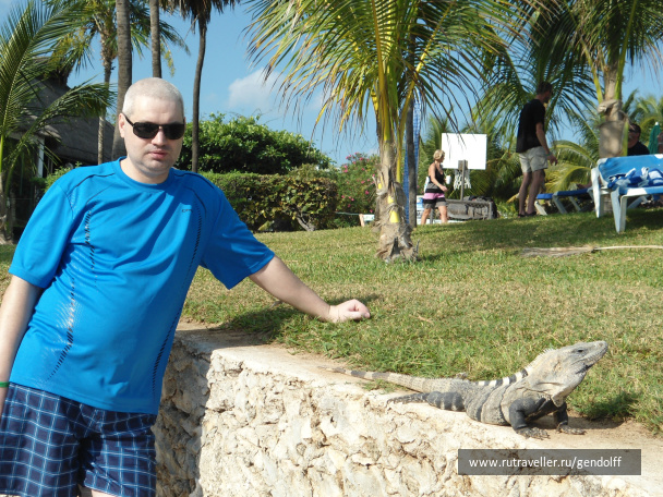 photo 317272