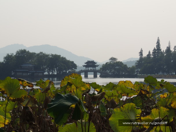photo 598925