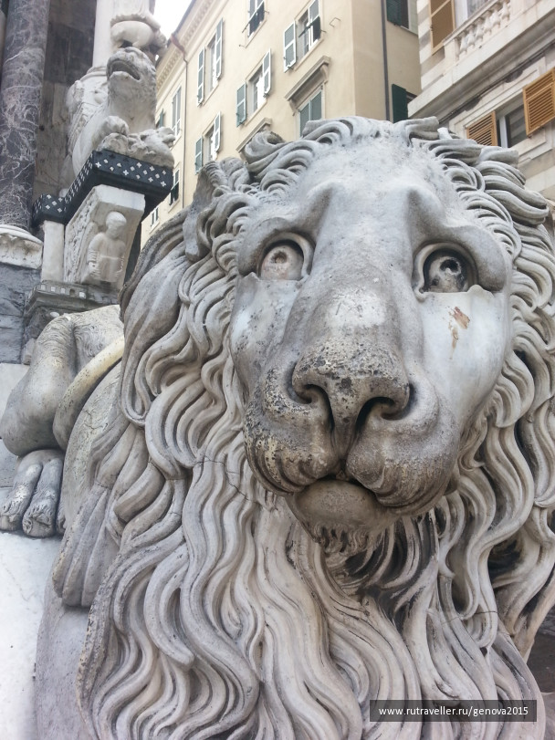 photo 1134478