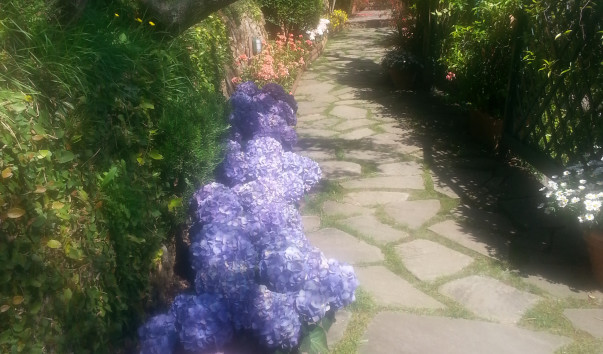20140504_152722