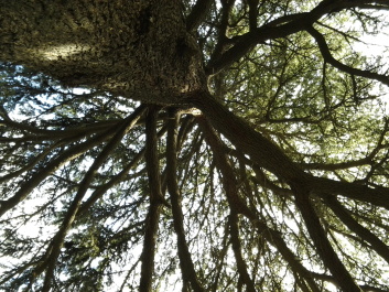 photo 1386472