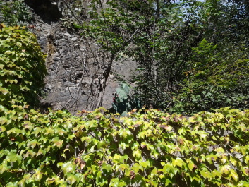 photo 1386474