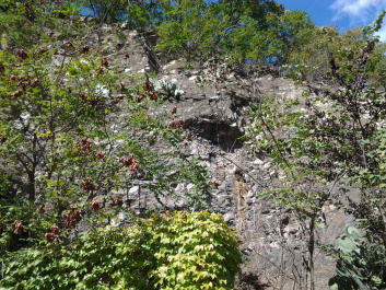 photo 1386475