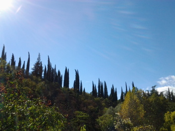 photo 1386476