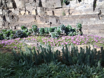 photo 1386479