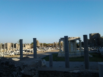 photo 851072