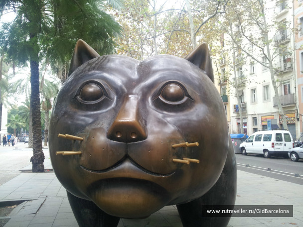 photo 404456