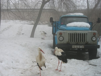 photo 475446