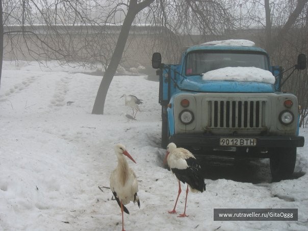 photo 475446