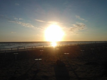 photo 294731