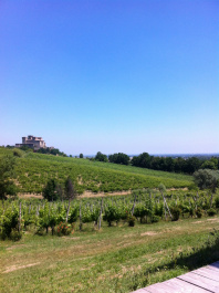 photo 422694